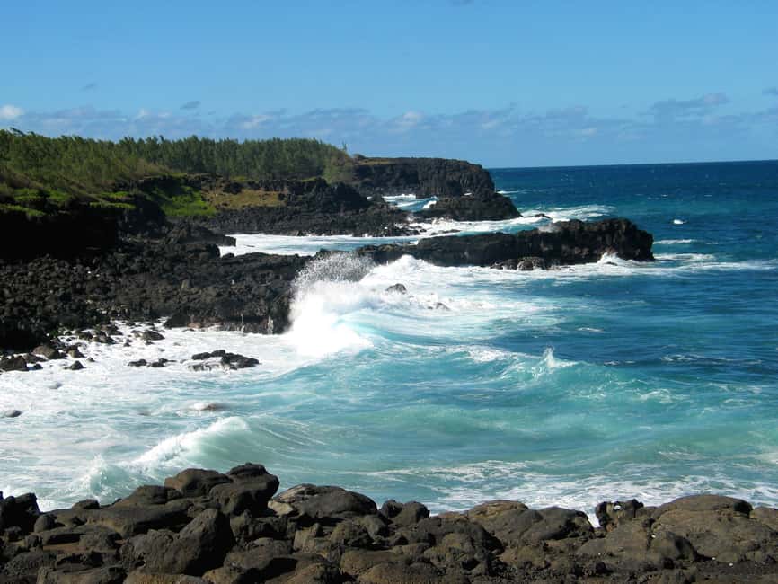 bild nr.8 av Djupa södra Mauritius: Te, krokodiler, lunch, kulturarv och Rhum aktivitet i Curepipe, uppladdad av arrangören