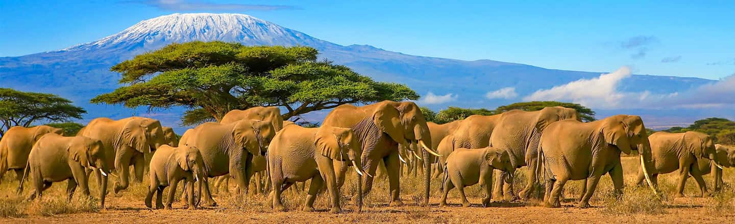 image n.2 of From Nairobi: 2-Day Amboseli National Park Safari activity in Central Kenya, uploaded by supplier
