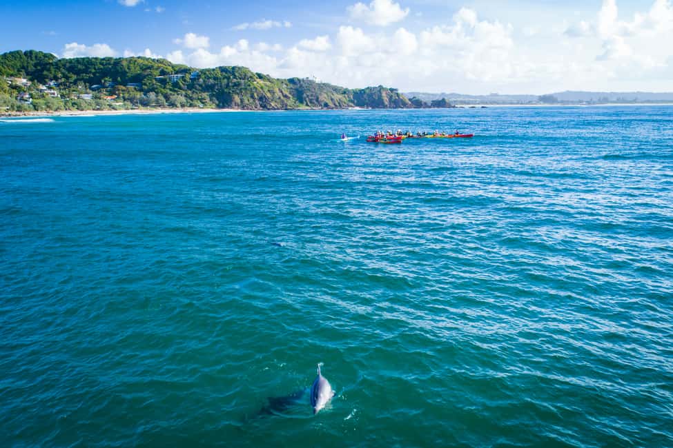 bild nr.9 av Byron Bay: Byron Bay-turen med havskajak aktivitet i Byron Bay, uppladdad av arrangören