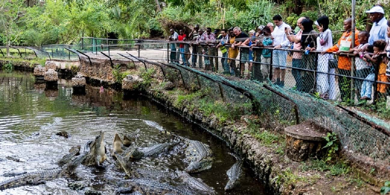 image n.34 of Mombasa: Private City Tour with Fort Jesus & Haller Park activity in Mombasa, uploaded by supplier