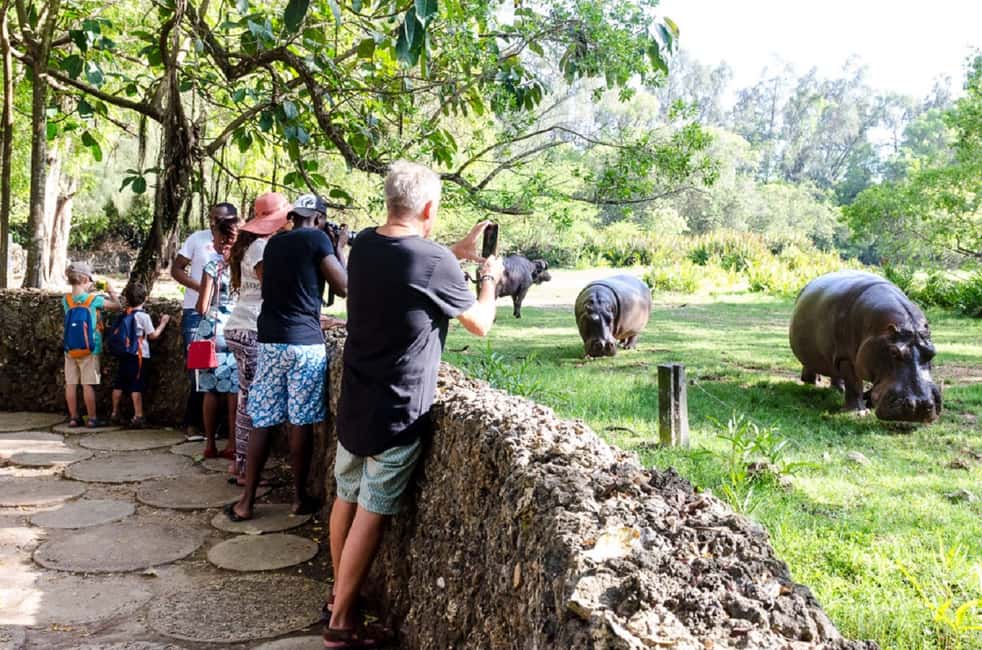 image n.35 of Mombasa: Private City Tour with Fort Jesus & Haller Park activity in Mombasa, uploaded by supplier