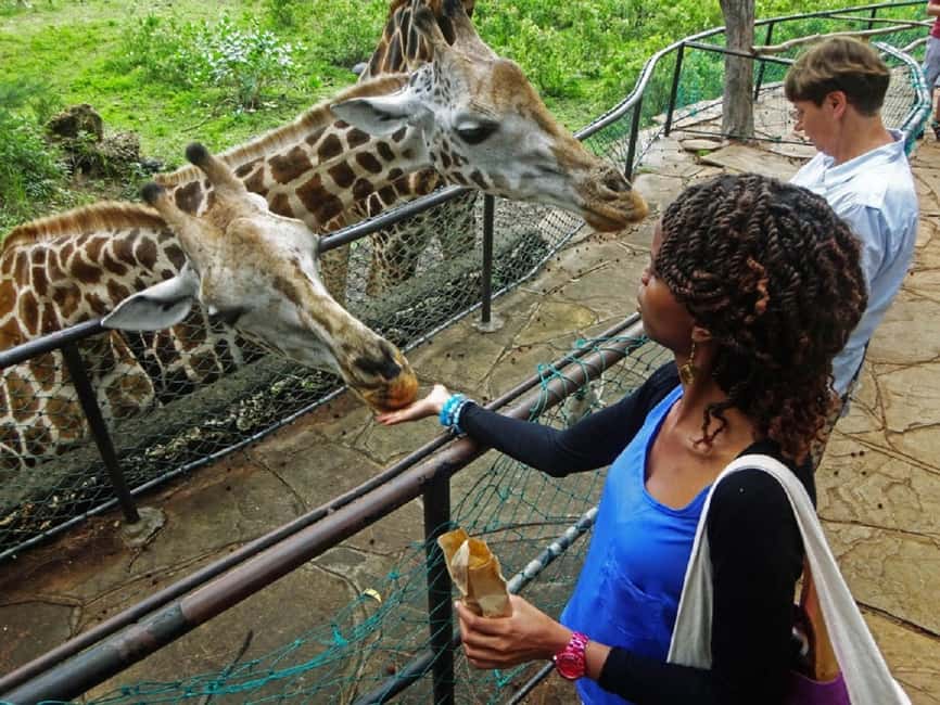 image n.36 of Mombasa: Private City Tour with Fort Jesus & Haller Park activity in Mombasa, uploaded by supplier