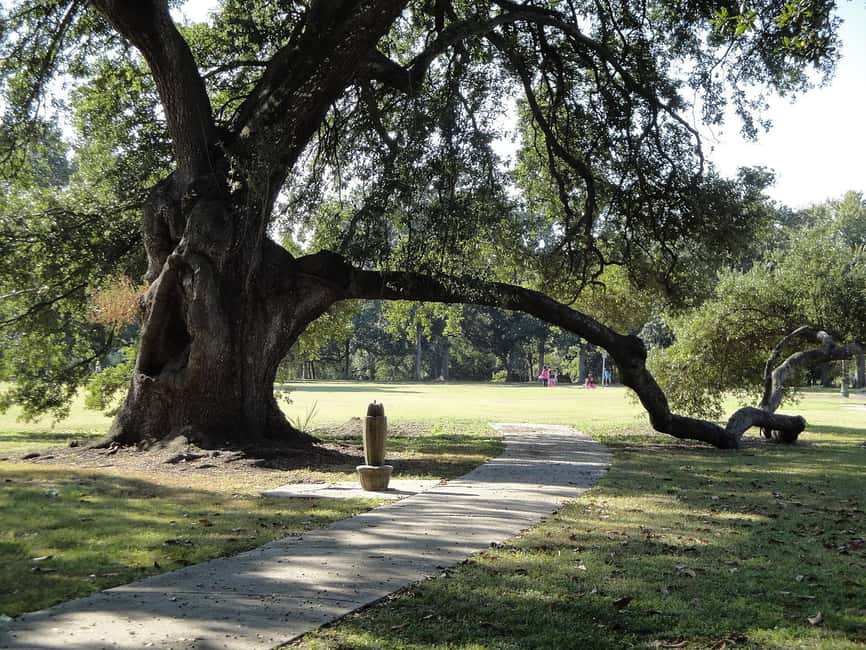 Immagine nº 4 di New Orleans: tour della città e del cimitero in autobus di 2 ore e 15 minuti attività a New Orleans, caricata dal fornitore