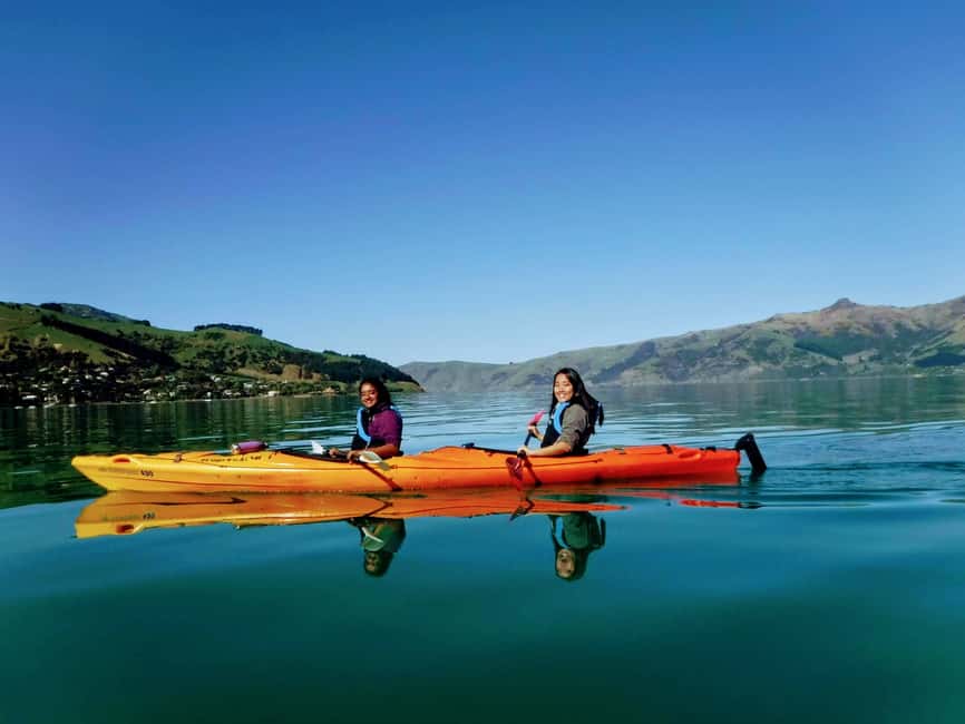 image n.2 of Akaroa: Akaroa Marine Reserve Sea Kayaking Tour activity in South Island, uploaded by supplier