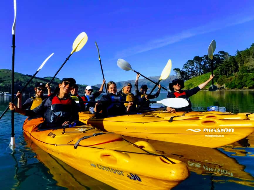 image n.5 of Akaroa: Akaroa Marine Reserve Sea Kayaking Tour activity in South Island, uploaded by supplier