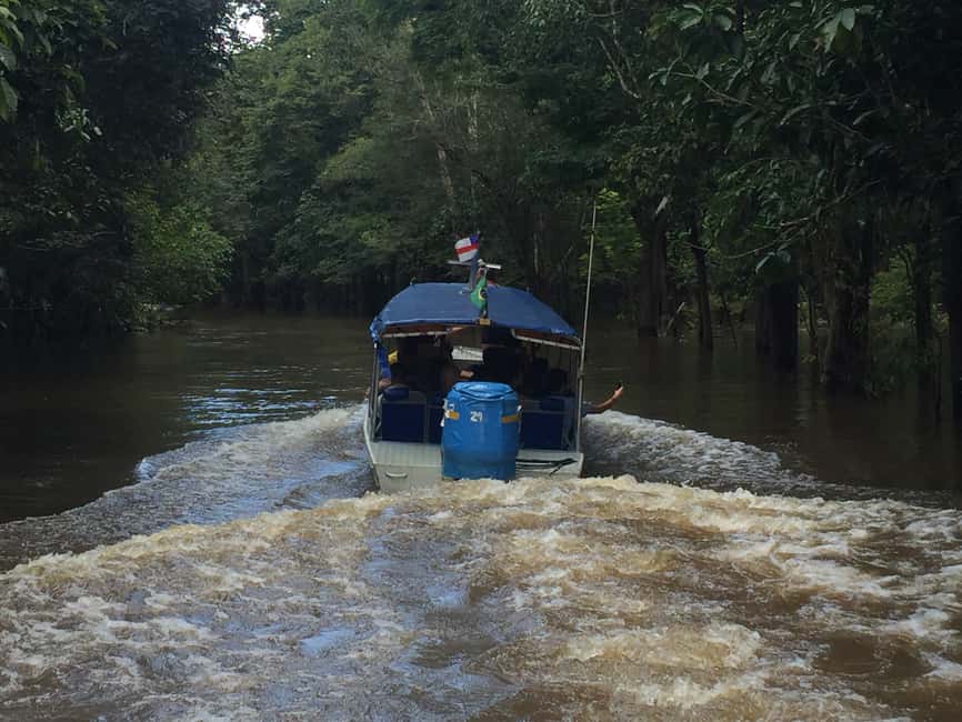 imagen n.º 9 de Desde Manuas: Tour fluvial de día completo actividad en Manaos, subida por el proveedor
