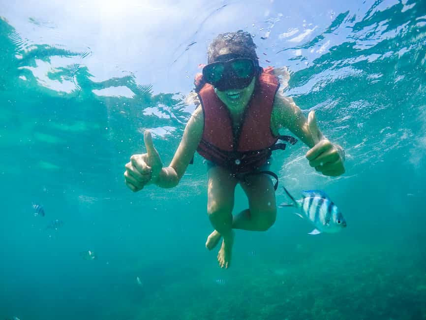 billede nr.12 af aktiviteten Koh Samui: Pig Island Tour med speedbåd og snorkling i Thailandbugten, uploadet af udbyder
