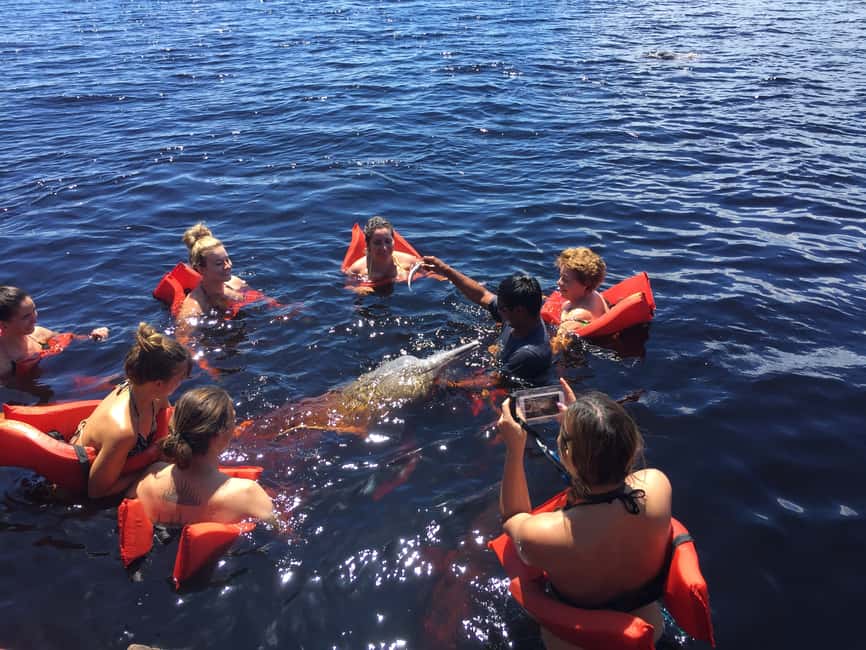 imagen n.º 1 de Desde Manaus: Excursión de medio día al río Negro actividad en Manaos, subida por el proveedor