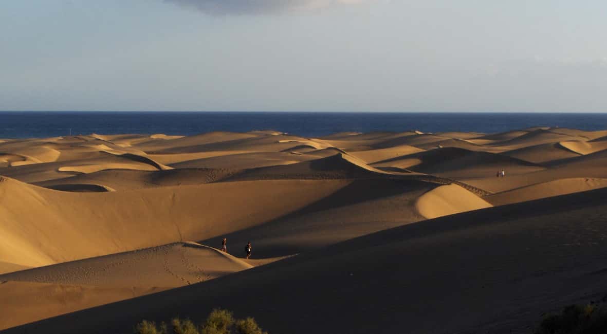 imagen n.º 15 de Maspalomas: Ruta en E-Bike por la Costa Sur Opción Degustación de Tapas actividad en El Pajar, subida por el proveedor