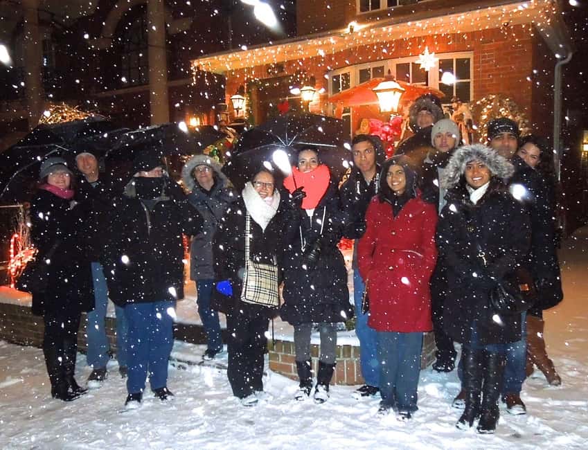 image n.10 of From Manhattan: 4-Hour Christmas Lights Luxury Bus Tour activity in New York City, uploaded by supplier