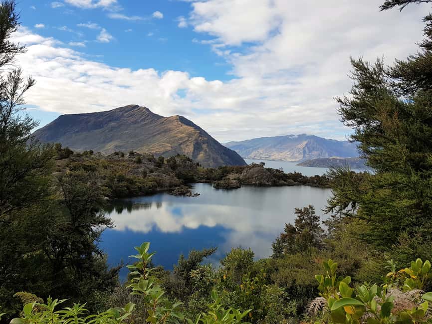 image n.7 of Wanaka: Water Taxi & Mou Waho Island Tour activity in South Island, uploaded by supplier