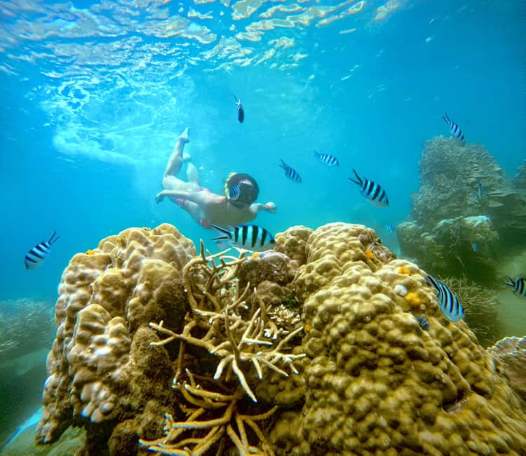 billede nr.4 af aktiviteten Koh Tao: Snorkeltur til øen Nang Yuan og skjulte bugter i Thailandbugten, uploadet af udbyder