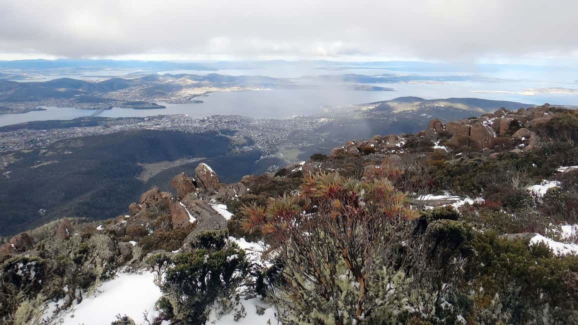 image n.10 of Kunanyi & Mt Wellington Explorer Bus: One-Way Bus Pass activity in Tasmania, uploaded by supplier