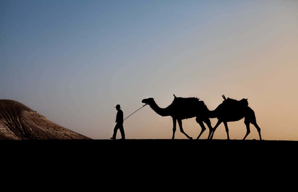Immagine nº 3 di Marrakesh: Tour del deserto di Agafay in quad e a dorso di cammello con cena attività a Marrakech-Safi, caricata dal fornitore