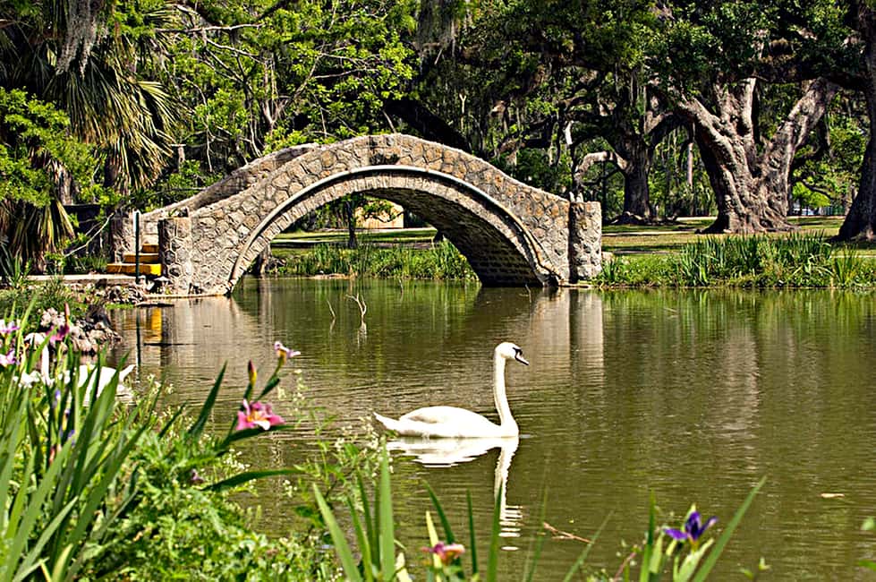 Immagine nº 9 di New Orleans: tour della città e del cimitero in autobus di 2 ore e 15 minuti attività a New Orleans, caricata dal fornitore