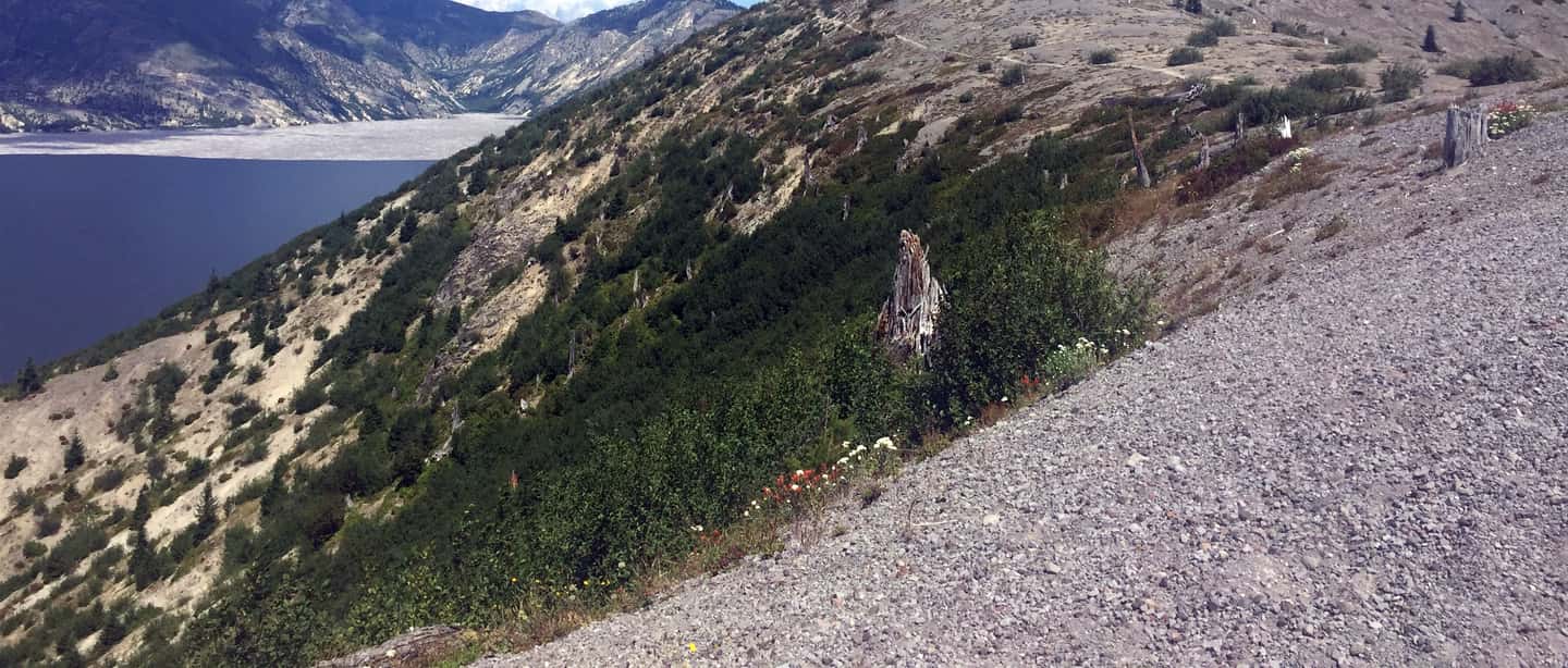 image n.8 of Portland: The Mt. St. Helens Adventure Tour activity in Castle Rock, Washington, uploaded by supplier