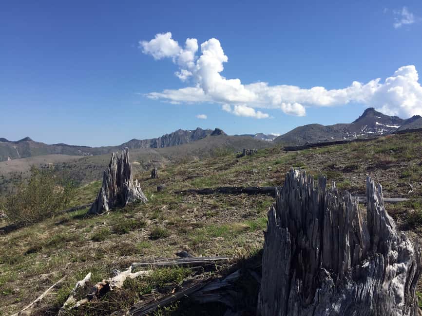 image n.10 of Portland: The Mt. St. Helens Adventure Tour activity in Castle Rock, Washington, uploaded by supplier