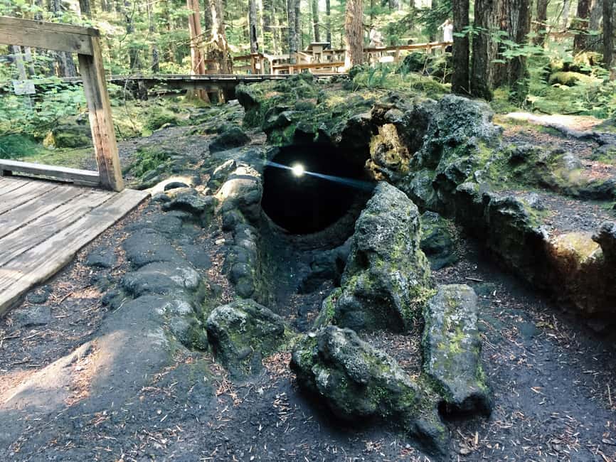 image n.14 of Portland: The Mt. St. Helens Adventure Tour activity in Castle Rock, Washington, uploaded by supplier