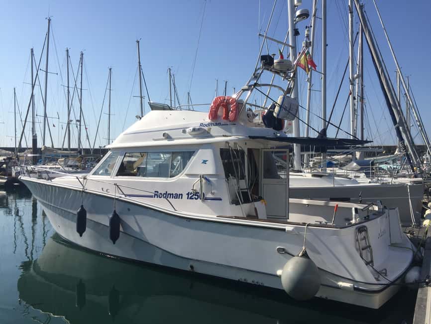 image n.4 of Cascais Deep-Sea Fishing Trip activity in Cascais, uploaded by supplier