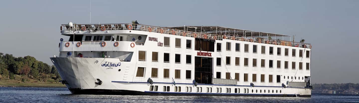 imagem n.14 de De Aswan: 4 dias de cruzeiro guiado no rio Nilo atividade em Assuão, carregada pelo fornecedor