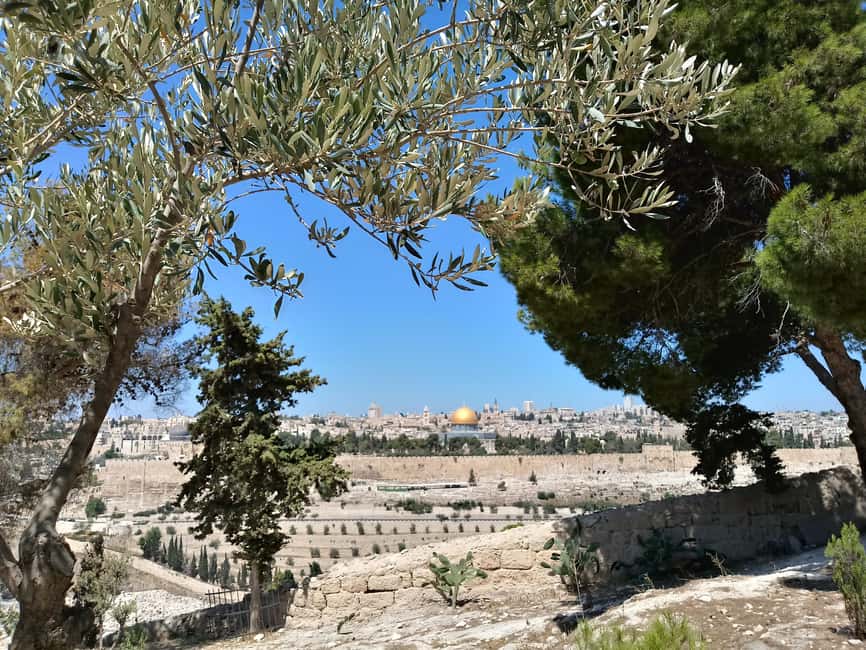 bild nr.7 av Från Tel Aviv: Heldagstur till Jerusalem, Döda havet och Betlehem aktivitet i Jerusalem, uppladdad av arrangören