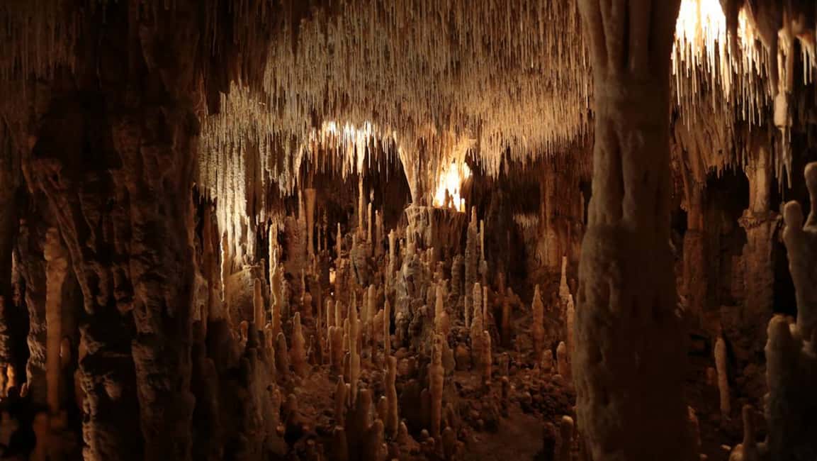 image n.3 of Sarlat : Private tour to Prehistoric Cave + Medieval Castle activity in Beynac-et-Cazenac, uploaded by supplier