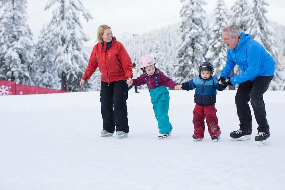 image n.8 of Grouse Mountain Skyride Admission Ticket activity in Vancouver, uploaded by supplier