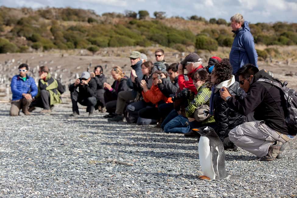 imagem n.10 de Ushuaia: Passeio de barco pelo Canal de Beagle e experiência com pinguins atividade em Terra do Fogo, carregada pelo fornecedor