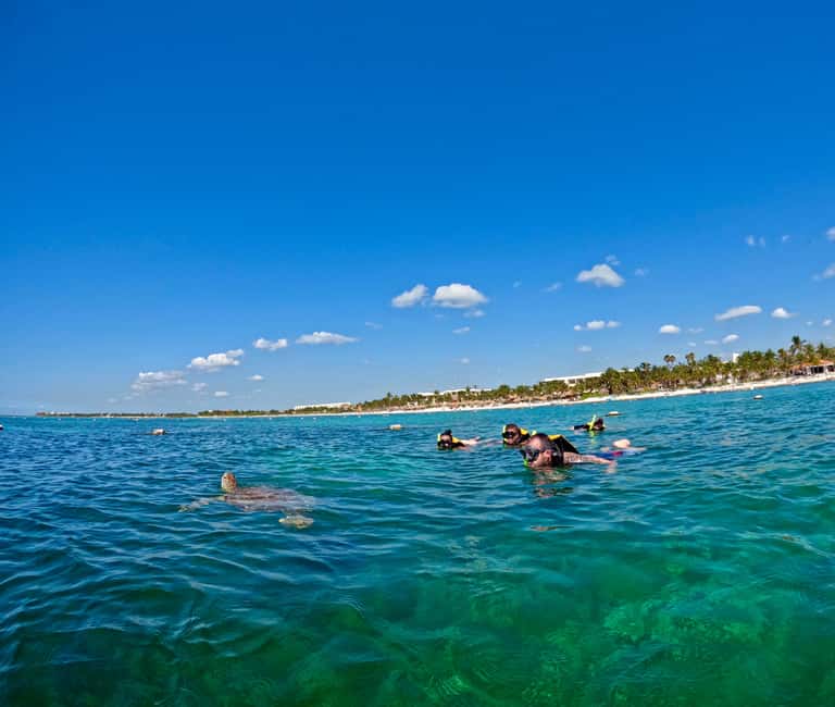 Obraz nr 5 z atrakcji Akumal: Snorkeling i zdjęcia z żółwiami w Akumal, przesłany przez organizatora
