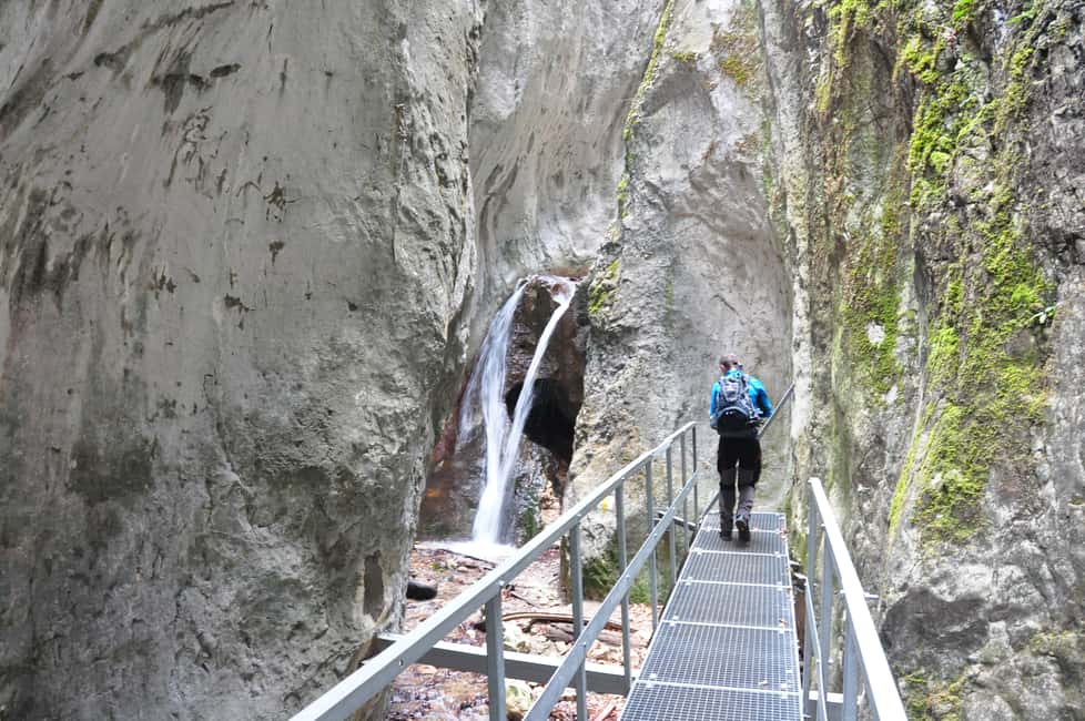 image n.10 of Brasov: Small-Group 7 Ladders Canyon Day Trip activity in Brasov, uploaded by supplier