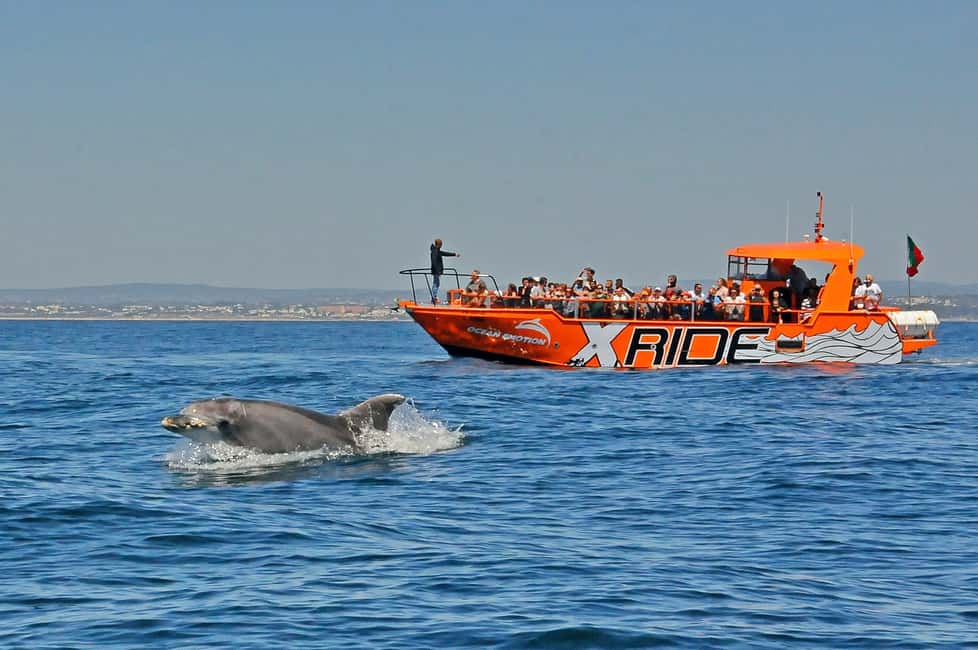 image n.11 of Albufeira: Dolphin Watching and Benagil Cave activity in Benagil, uploaded by supplier