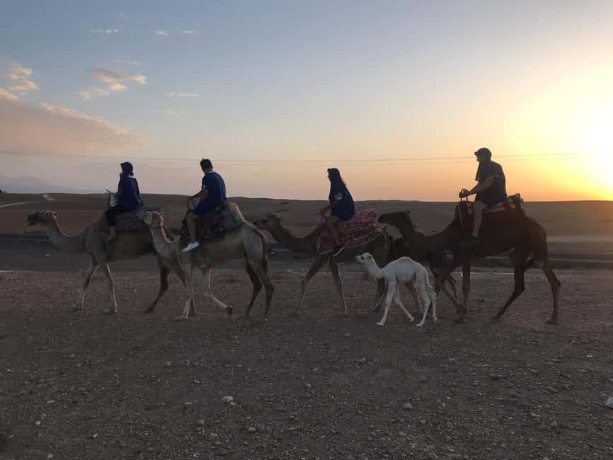 Immagine nº 8 di Marrakesh: Tour del deserto di Agafay in quad e a dorso di cammello con cena attività a Marrakech-Safi, caricata dal fornitore