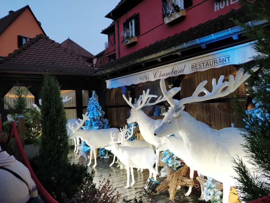 image n.2 of Enchanting Christmas Experience From Colmar activity in Colmar, uploaded by supplier