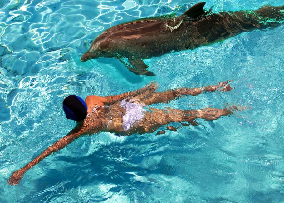 billede nr.10 af aktiviteten Red Hook: 4-timers bådtur til Saint John med snorkling i Sankt Jan, uploadet af udbyder