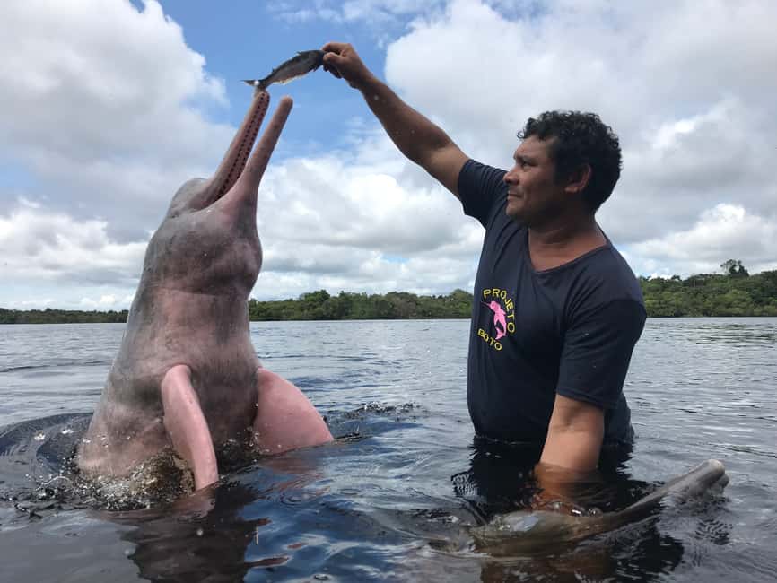 imagen n.º 10 de Desde Manuas: Tour fluvial de día completo actividad en Manaos, subida por el proveedor