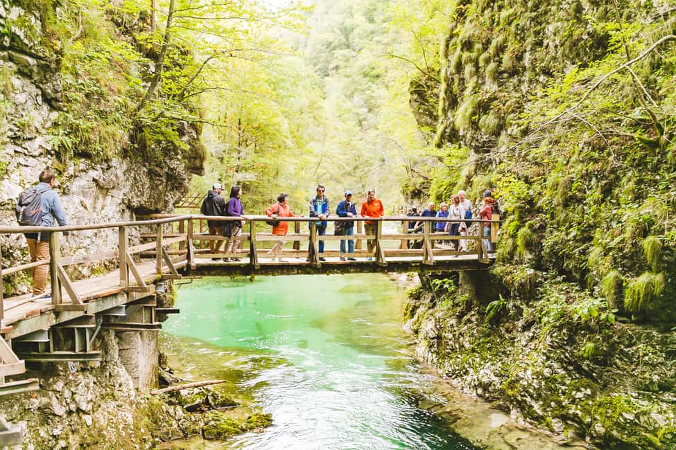 image n.12 of From Ljubljana: Day Trip to Bled and Vintgar Gorge activity in Bled, uploaded by supplier