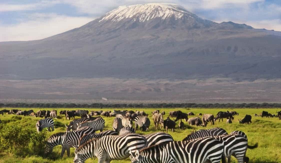 Image N°9 de Depuis Nairobi : Excursion d'une journée au parc national d'Amboseli activité à Province centrale du Kenya, publiée par le prestataire