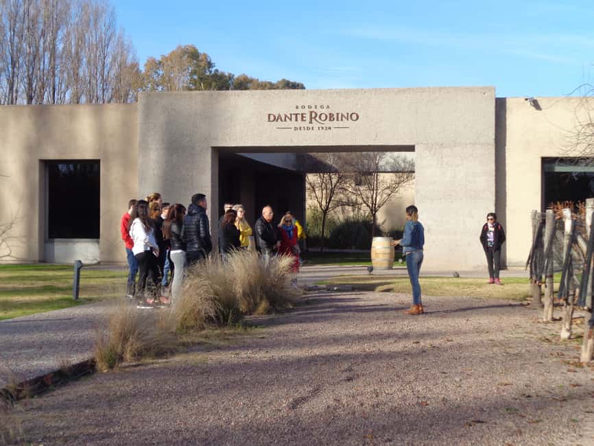 image n.2 of Mendoza: Half-Day Wine Tour with Tastings activity in Mendoza, uploaded by supplier