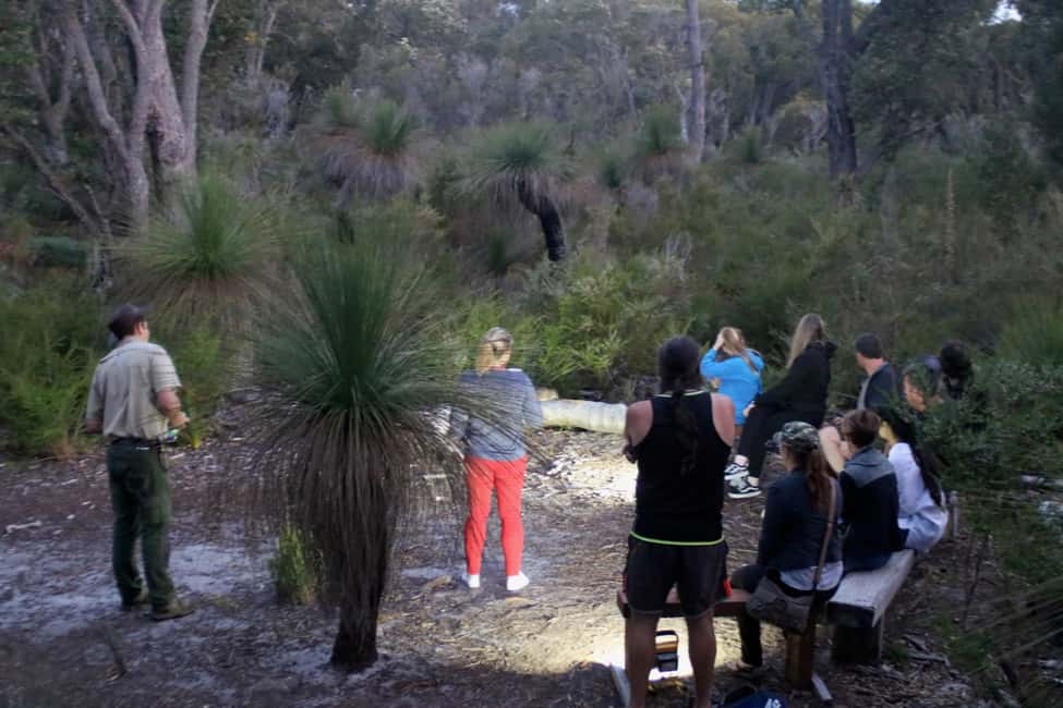 image n.2 of Busselton: Nocturnal Animal Tour activity in Busselton, uploaded by supplier