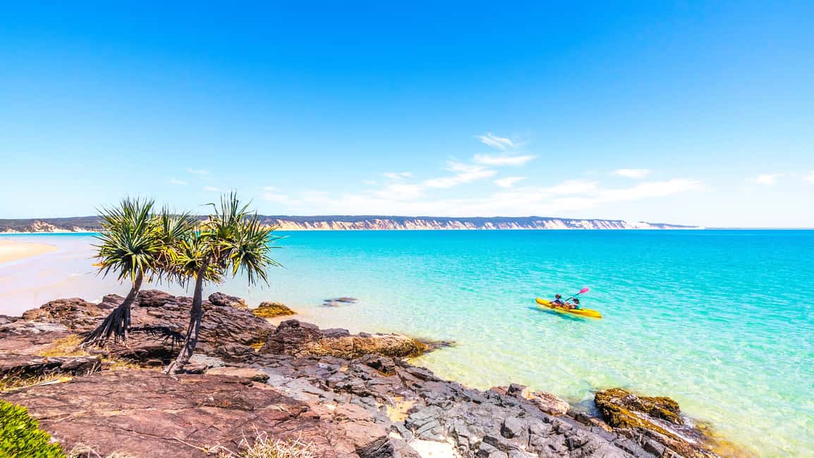 image n.6 of Noosa: Dolphin Sea Kayak & Beach 4X4 Tour (in National Park) activity in Gympie, uploaded by supplier