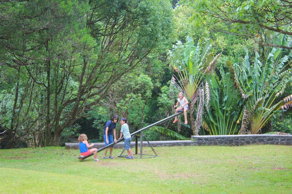 bild nr.10 av Djupa södra Mauritius: Te, krokodiler, lunch, kulturarv och Rhum aktivitet i Curepipe, uppladdad av arrangören
