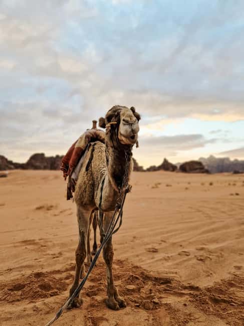 imagen n.º 6 de Desde Agadir: Excursión de un día al desierto del Sahara y paseo en camello actividad en Provincia de Chtouka-Aït Baha, subida por el proveedor