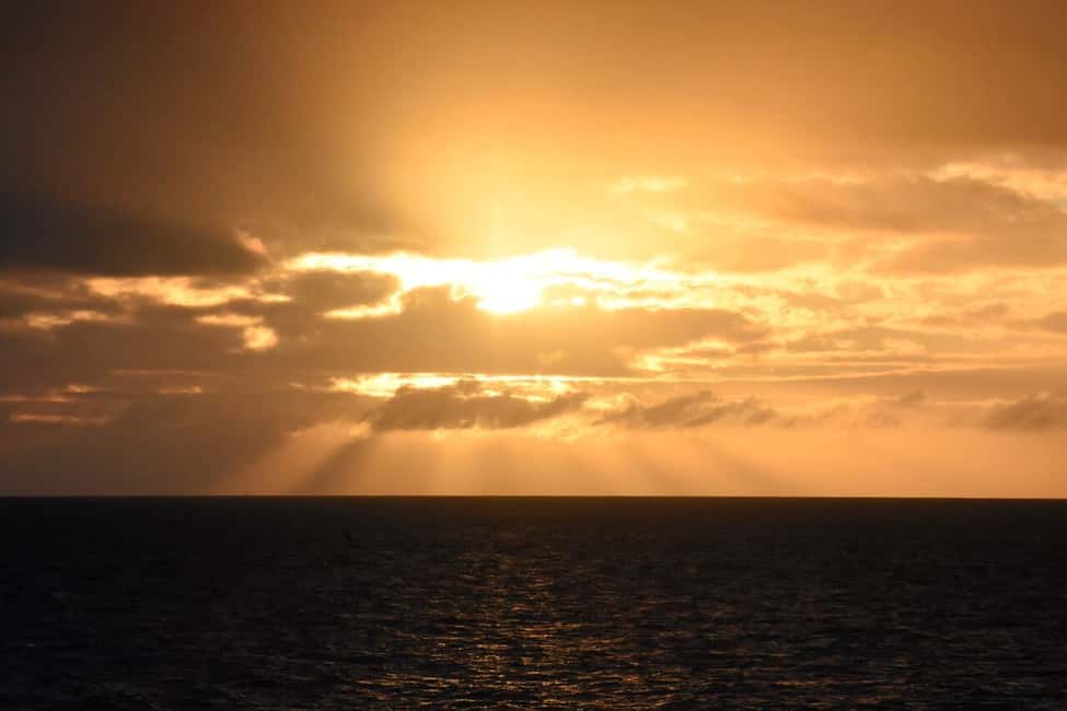 Image N°11 de Akureyri : observation des baleines sous le soleil de minuit activité à Norðurland eystra, publiée par le prestataire