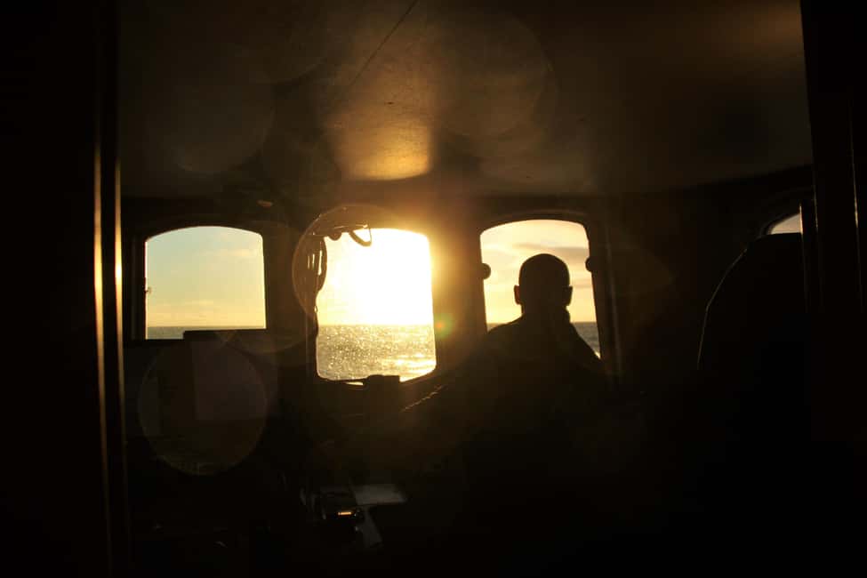 Image N°6 de Akureyri : observation des baleines sous le soleil de minuit activité à Norðurland eystra, publiée par le prestataire