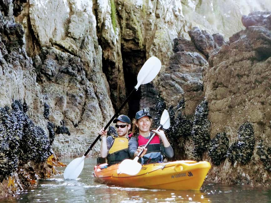 image n.7 of Akaroa: Akaroa Marine Reserve Sea Kayaking Tour activity in South Island, uploaded by supplier