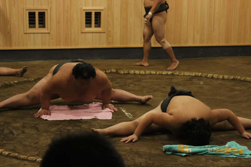 image n.12 of Tokyo: Morning Sumo Practice Viewing activity in Tokyo, uploaded by supplier