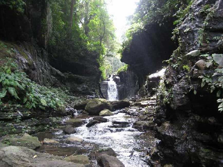 image n.2 of From Manila: Day Tour to Enchanting Hidden Valley activity in Manila, uploaded by supplier