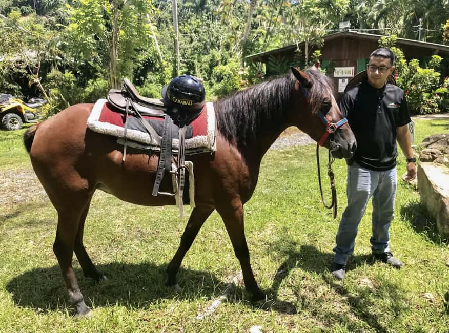Immagine nº 11 di Parco della foresta pluviale di Carabalí: tour a cavallo nella foresta pluviale attività a Luquillo, caricata dal fornitore