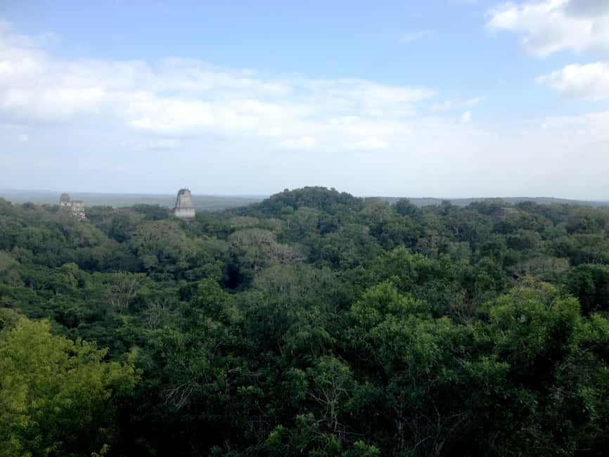 image n.7 of From San Ignacio: Tikal Maya Site Day-Trip with Local Lunch activity in Flores, Guatemala, uploaded by supplier