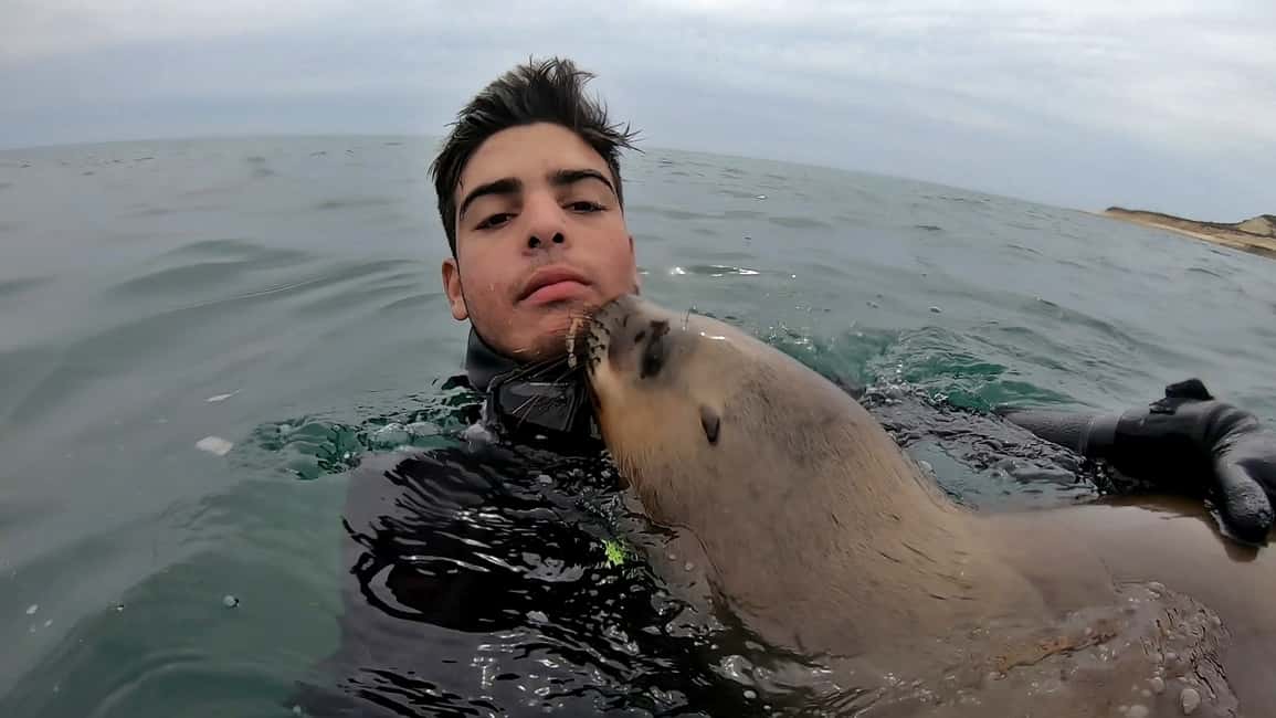 Bild Nr. 8 von Puerto Madryn: Schnorchelausflug mit Seelöwen Aktivität in Puerto Madryn, hochgeladen vom Anbieter